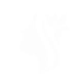 Velvet Massaggi Tantra Roma